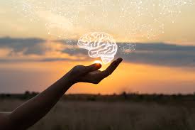 CURSO MINDFULNESS, PSICOLOGÍA BUDISTA Y NEUROCIENCIA CONTEMPLATIVA